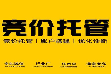 竞价开户攻略：成功案例分享